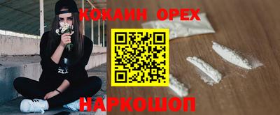 гидра Гатчина