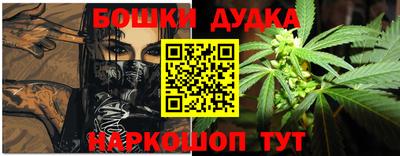 гидра Гатчина