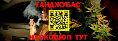 гидра Гатчина