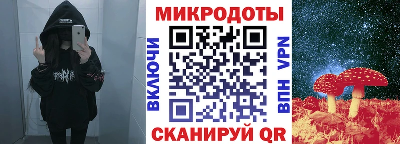Псилоцибиновые грибы мухоморы  МЕГА ТОР  площадка какой сайт  Балтийск 