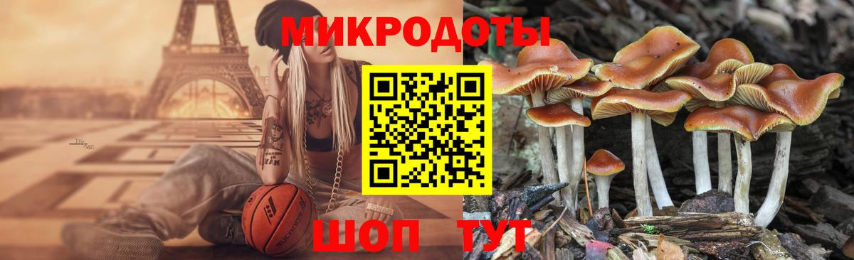 Галлюциногенные грибы ЛСД Балтийск